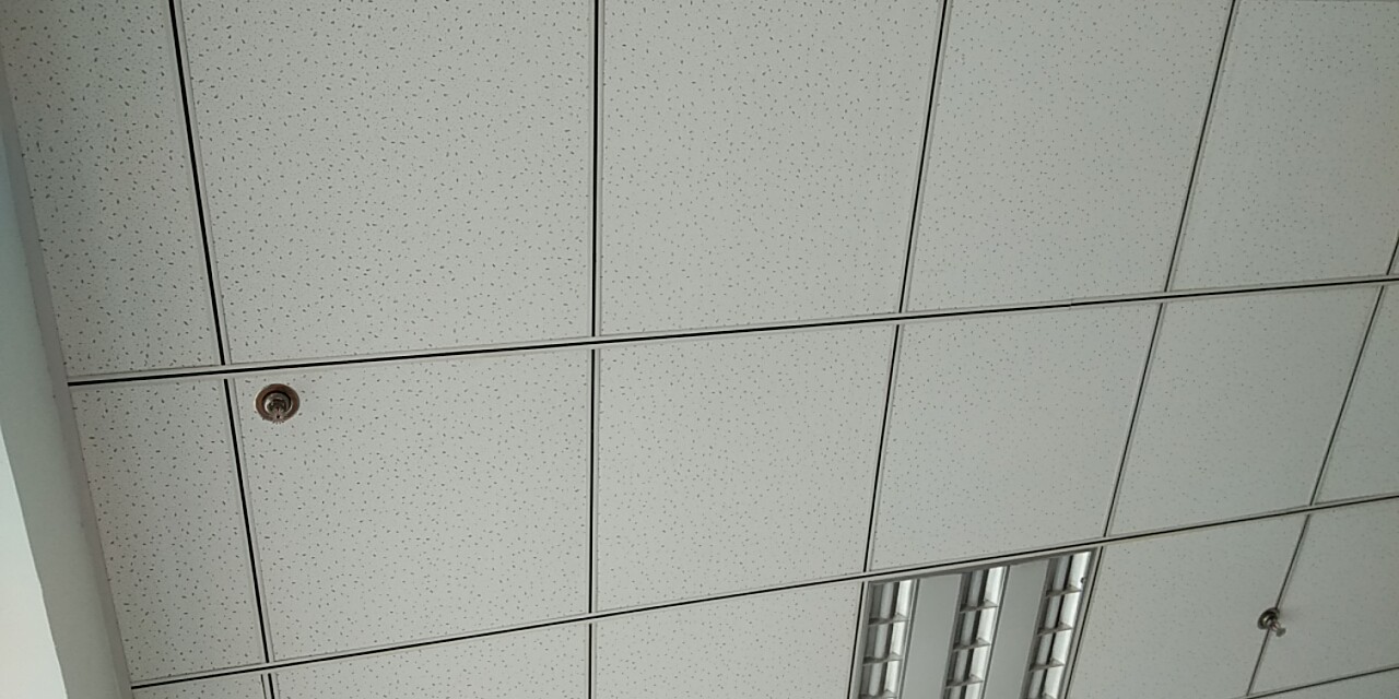 wx_camera_1551680765783.jpg